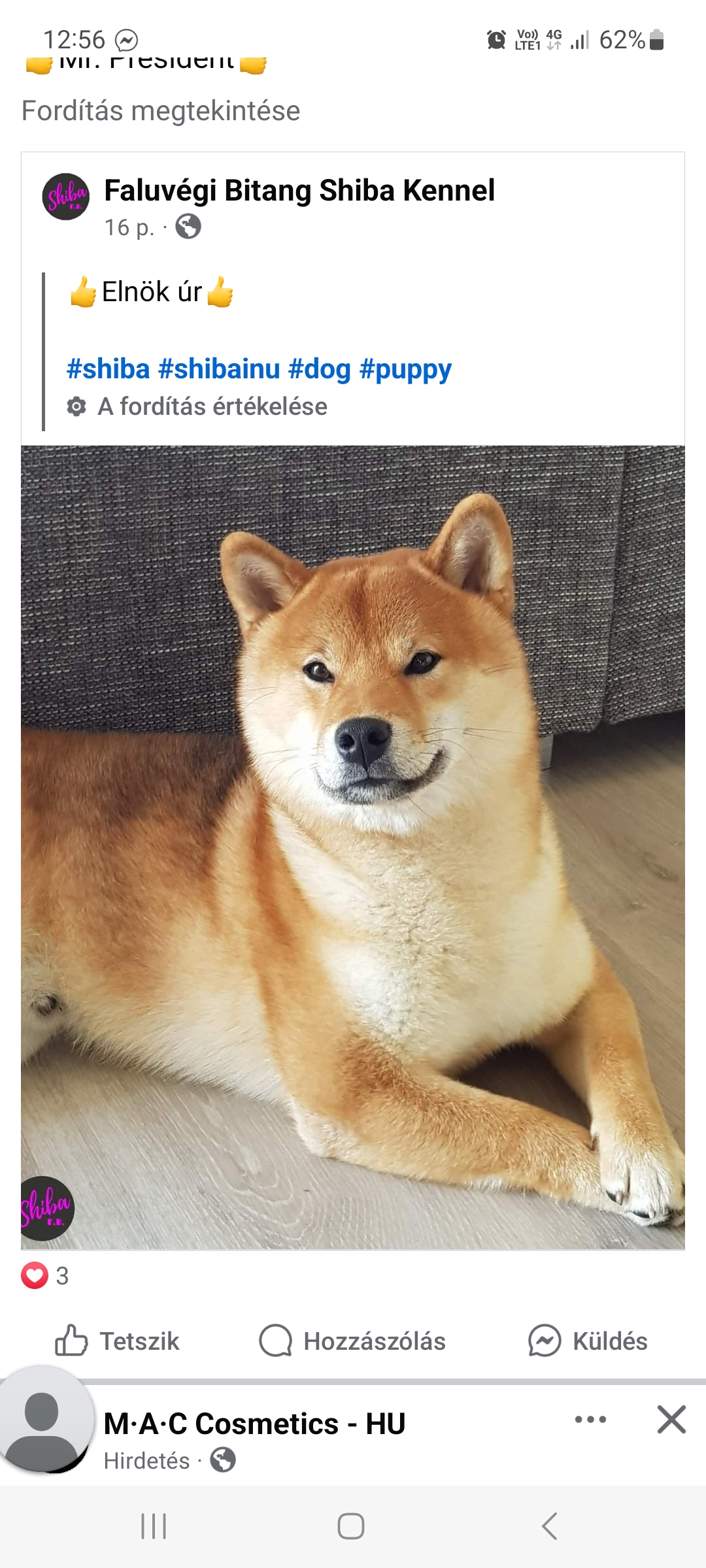 Profile picture
